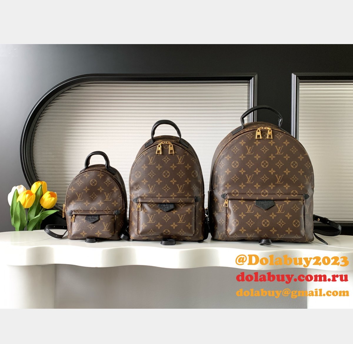 Top Quality Classical Palm Springs Louis Vuitton backpack