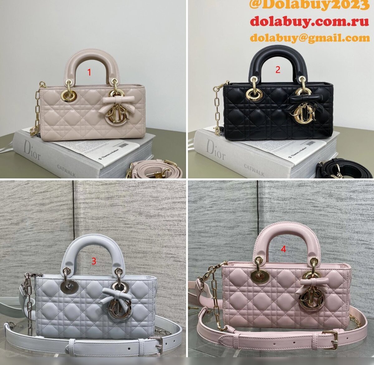 Dior High Quality Lady D-Joy 22CM #9240 Bags