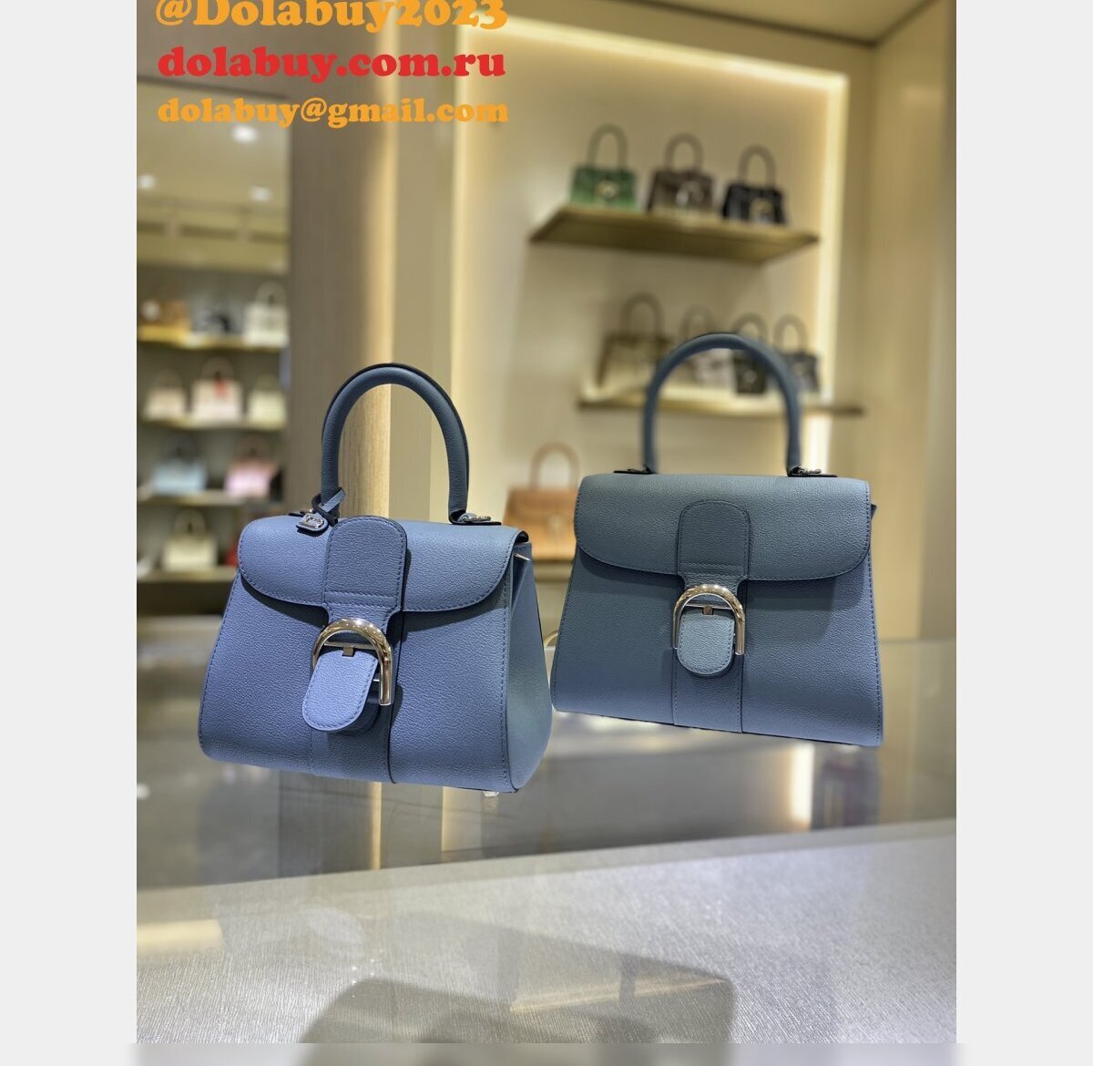 Designer Delvaux Rodéo Brillant 99125066 Calf Knockoff Handbags